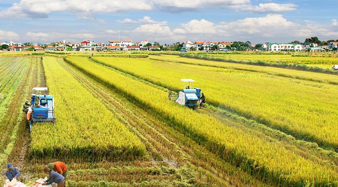 Thông tư số 09/2017/TT-BNNPTNT Hướng dẫn phân loại và đánh giá Hợp tác xã hoạt động trong lĩnh vực Nông nghiệp