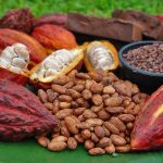 Cocoa