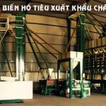 TIEU-XK-800×298