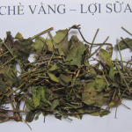 che_vang_se