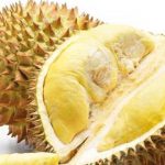sau-rieng-mongthong-huong-huu-co-1_grande