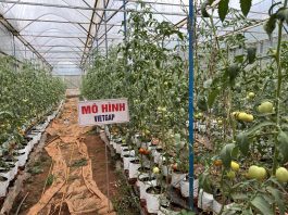 Thường trực Liên minh Hợp tác xã tỉnh đến thăm Hợp tác xã trên địa bàn Thành phố Gia Nghĩa